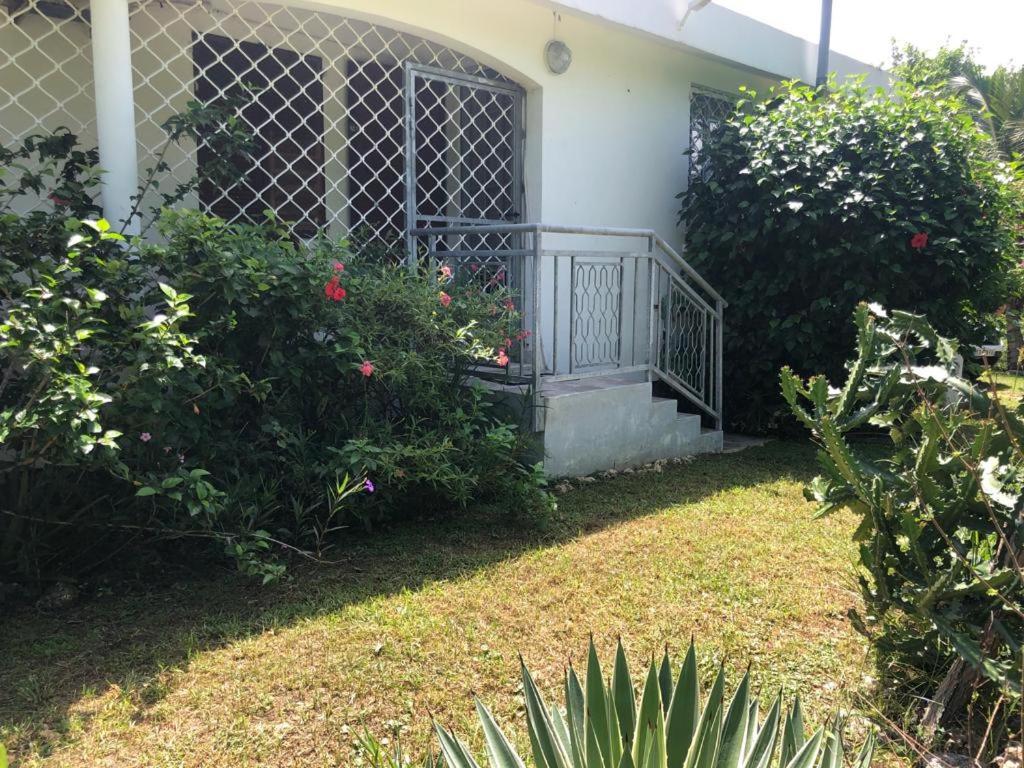 Jardin Des Anges-Bungalows Creoles Et Studio Le Moule Exteriör bild