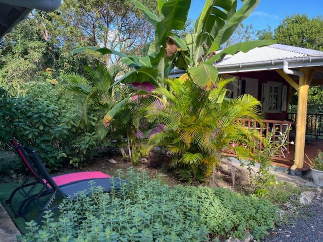 Jardin Des Anges-Bungalows Creoles Et Studio Le Moule Exteriör bild